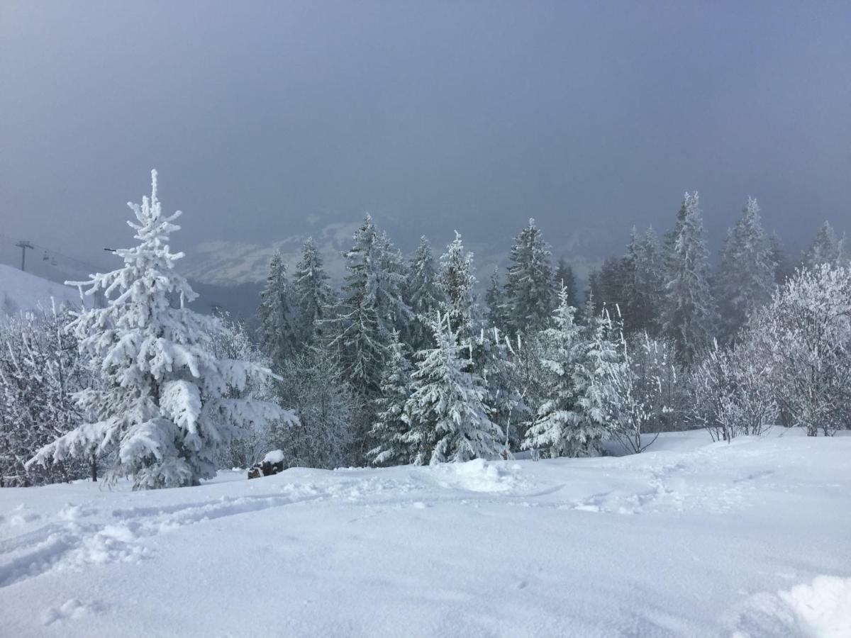 T2 Face Au Mont Blanc Au Plateau D'Assy Appartamento Passy  Esterno foto